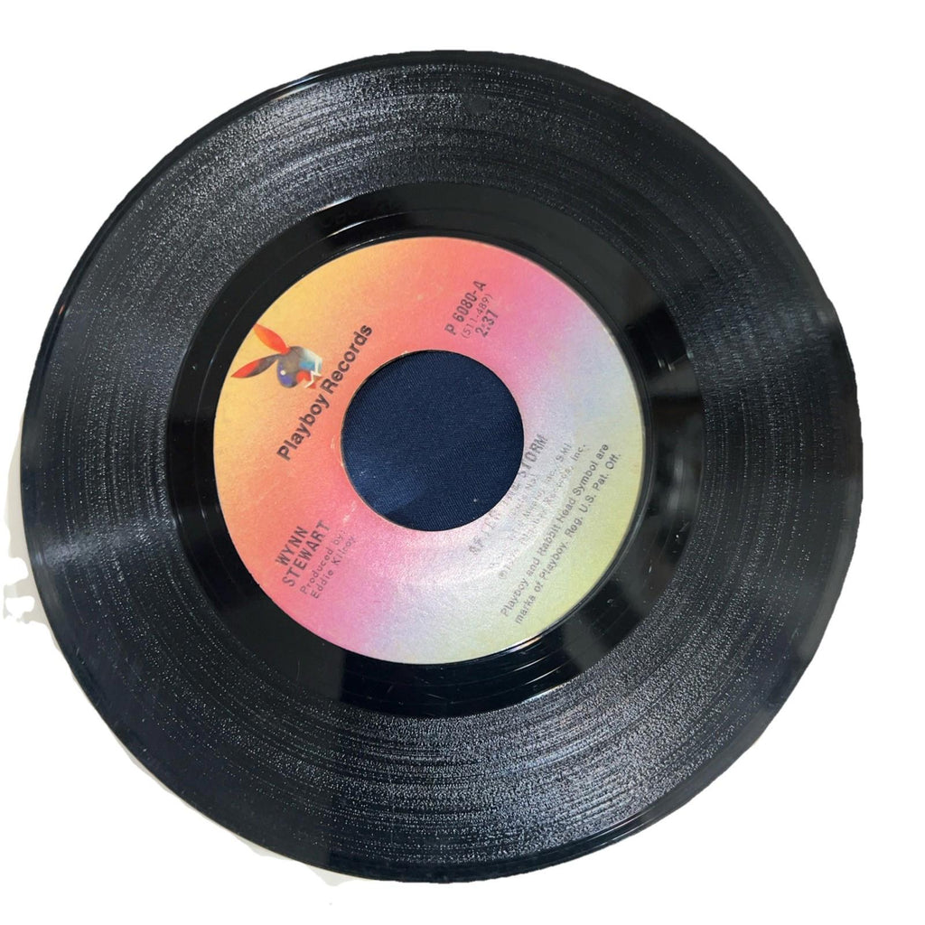 Wynn Stewart after the storm monkey with my widow 45 rpm