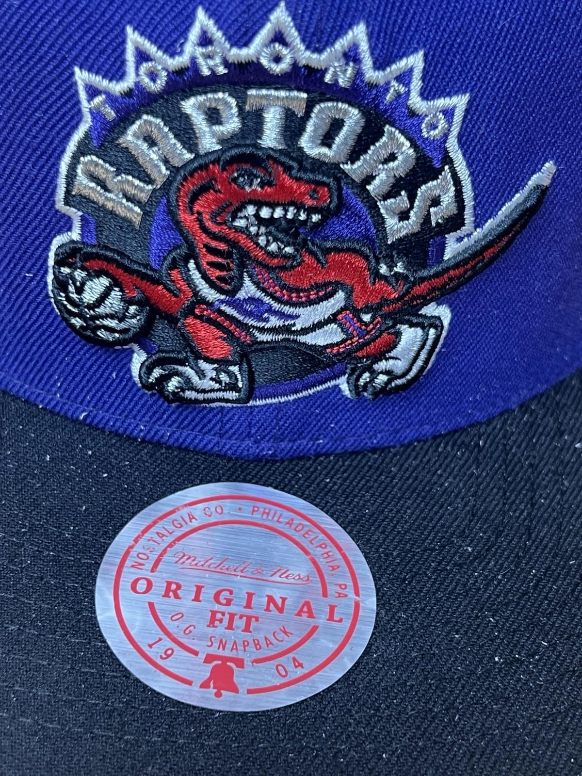 Toronto Raptors Mitchell Ness Purple Team Ground Snapback