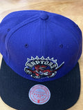 Toronto Raptors Mitchell Ness Purple Team Ground Snapback