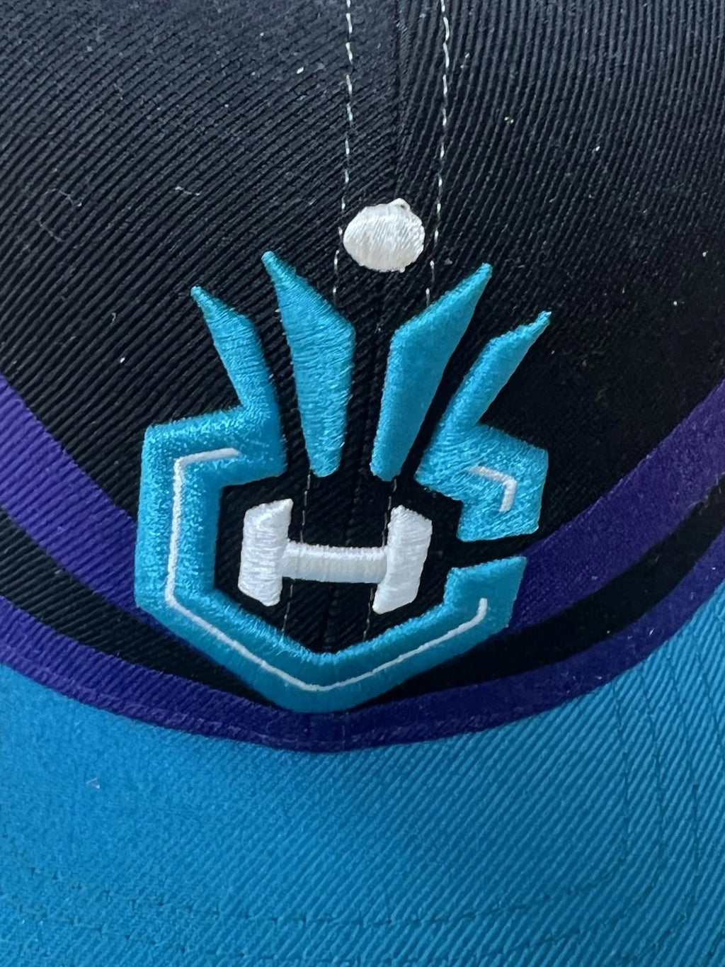 Charlotte Hornets Mitchell & Ness Teal Black Trim Snapback  Hat 2014