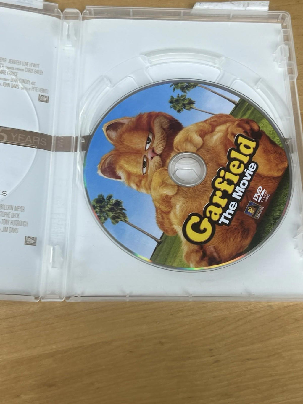 Garfield the Movie, Garfield A Tail Of Two Kitties